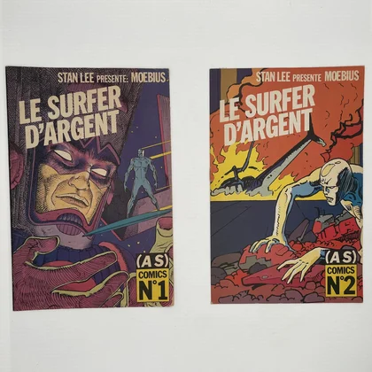 Le Surfer d'Argent - Tomes 1 et 2 (Parabole 1/2, Parabole 2/2) - Stan Lee / Moebius - Casterman - Comics - Très bon état