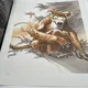 La Bête - TL - T 2 - Zidrou / Frank Pé - Khani + ex-libris + suppléments - BD franco-belge - Très bon état — Photo 7