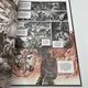 Elle - T 1 - Le Tesson d'Amenartas - Élie Chouraqui / Alberto Jiménez Alburquerque - Soleil - BD franco-belge - Très bon état — Photo 4