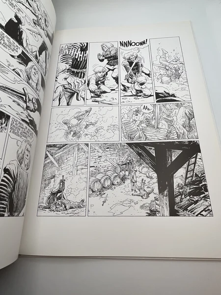 Complainte des Landes Perdues - TT - T 1 - Sioban - Jean Dufaux / Grzegorz Rosinski - Dargaud - BD franco-belge - Très bon état