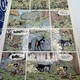 Johan et Pirlouit - TL - T 3 - Le lutin du bois aux roches - Peyo - Golden Creek Studio - BD franco-belge - Très bon état — Photo 3