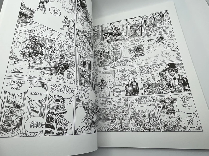 Blueberry - N&B - T 28 - Dust - Jean-Michel Charlier / Jean Giraud - Dargaud - BD franco-belge - Très bon état