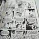 Johan et Pirlouit - TL - T 3 - Le lutin du bois aux roches - Peyo - Golden Creek Studio - BD franco-belge - Très bon état — Photo 10