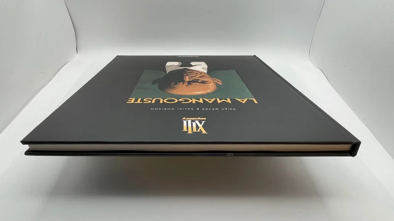 XIII Mystery - TT - T 1 - La Mangouste - Ralph Meyer / Xavier Dorison - Dargaud - BD franco-belge - Très bon état