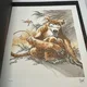 La Bête - TL - T 2 - Zidrou / Frank Pé - Khani + ex-libris - BD franco-belge - Très bon état — Photo 3