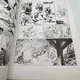 Complainte des Landes Perdues - TT - T 1 - Sioban - Jean Dufaux / Grzegorz Rosinski - Dargaud - BD franco-belge - Très bon état — Photo 6