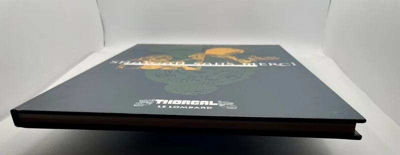 Thorgal - TL - Shaïgan sans merci - Van Hamme - Rosinski - BD franco-belge - Très bon état