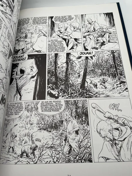 Thorgal - TL - Shaïgan sans merci - Van Hamme - Rosinski - BD franco-belge - Très bon état