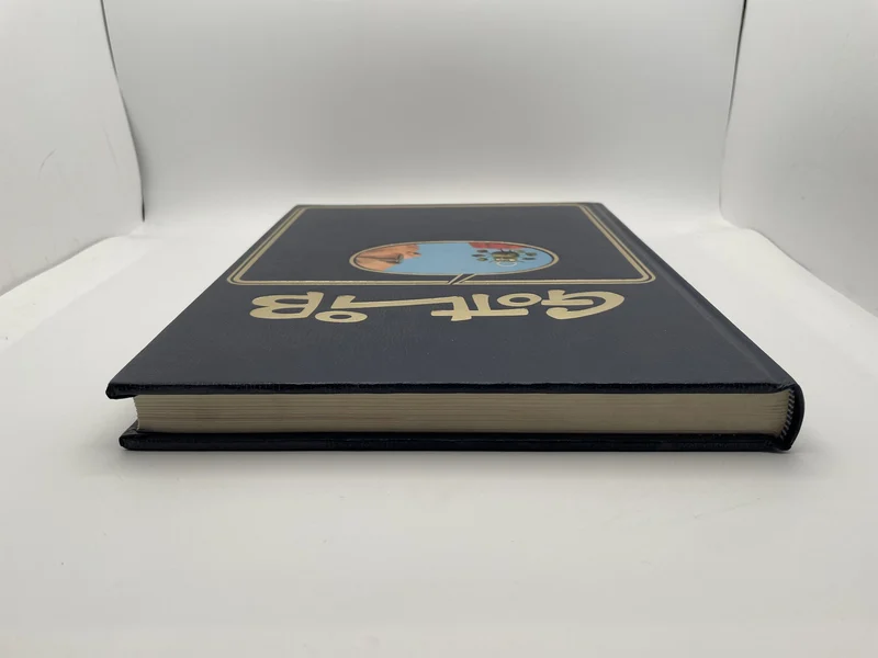 Gotlib - Rombaldi - EO - 2 - Rubriques à brac IV & V - Trucs en vrac - BD franco-belge - Très bon état