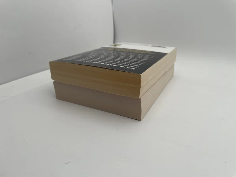 Blackwing - Tomes 1 et 2 (La marque du corbeau, Le cri du corbeau) - Ed McDonald - Bragelonne - Livres - Très bon état