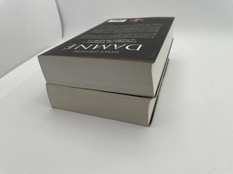 Damné - Intégrale (tomes 1 et 2) - Hervé Gagnon - France Loisirs - Livres - Très bon état