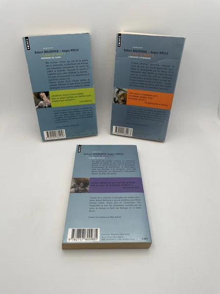 La Saga de Raven - Tomes 1, 2 et 3 - Robert Holdstock / Angus Wells - Points - Livres - Très bon état