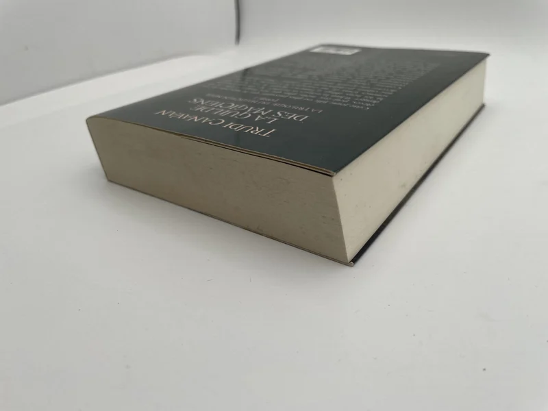 La trilogie du Magicien Noir - Tome 1 - La guilde des magiciens - Trudi Canavan - Editions France Loisirs - Livres - Très bon état