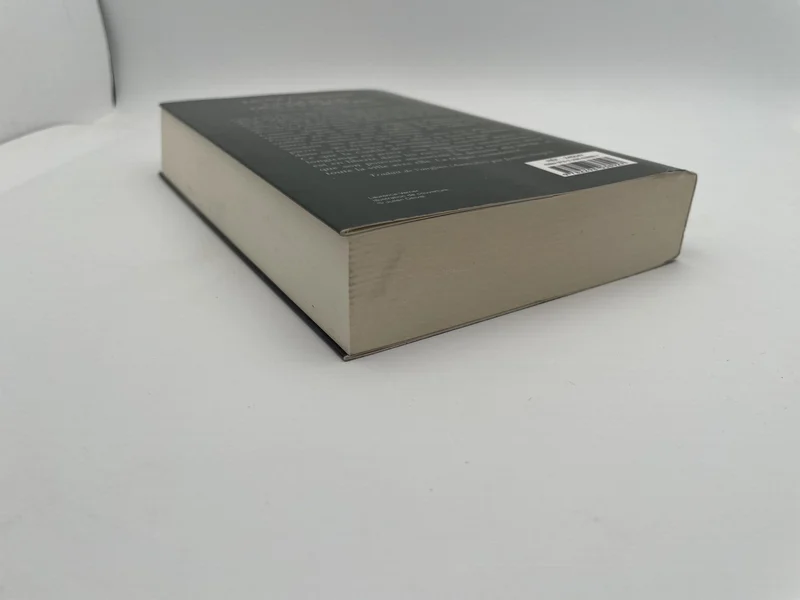 La trilogie du Magicien Noir - Tome 1 - La guilde des magiciens - Trudi Canavan - Editions France Loisirs - Livres - Très bon état