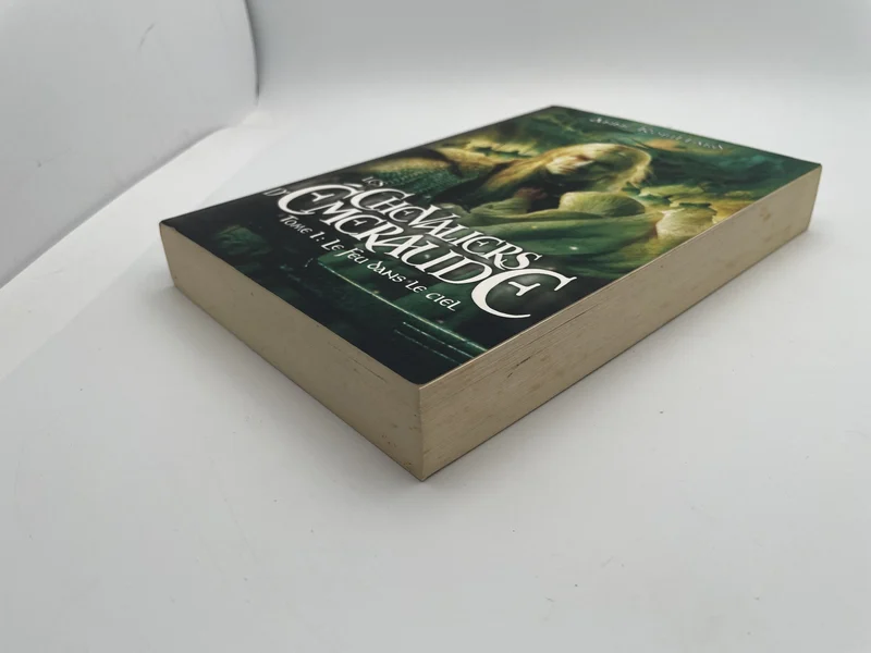 Les Chevaliers d'Émeraude - Tome 1 - Le feu dans le ciel - Anne Robillard - France Loisirs - Livres - Très bon état