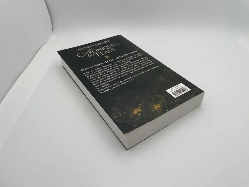Les Chroniques des Féals - Intégrale (tomes 1 à 3) - Mathieu Gaborit - Bragelonne - Livres - Très bon état