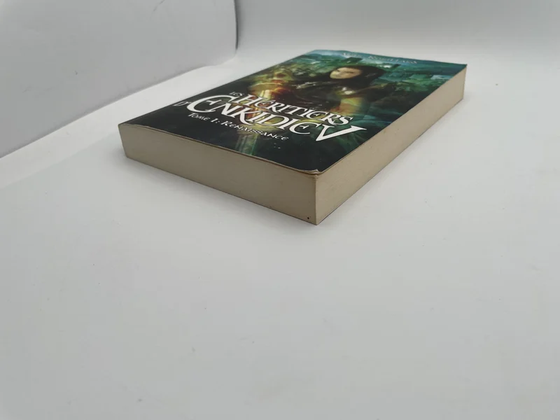 Les Héritiers d'Enkidiev - Tome 1 - Renaissance - Anne Robillard - France Loisirs - Livres - Très bon état