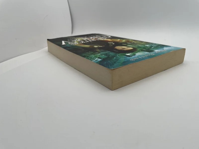 Les Héritiers d'Enkidiev - Tome 1 - Renaissance - Anne Robillard - France Loisirs - Livres - Très bon état