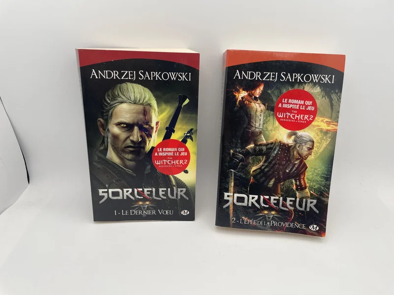 Sorceleur - Tomes 1 et 2 (Le Dernier Vœu, L'Épée de la Providence) - Andrzej Sapkowski - Bragelonne - Livres - Très bon état
