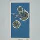 Aquablue - Tomes 2 à 5 (Planète bleue, Le Mégophias, Corail noir, Projet Atalanta) - Thierry Cailleteau / Olivier Vatine / Ciro Tota - Delcourt - BD franco-belge - Très bon état — Photo 10