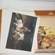 Blueberry - Portfolio Blueberry's - Jean Giraud - Stardom - BD franco-belge - Très bon état — Photo 3