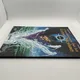 Chroniques de la Lune Noire - T 0 - EO - En un jeu cruel - Fabrice Angleraud / François Froideval - Dargaud - BD franco-belge - Très bon état — Photo 9