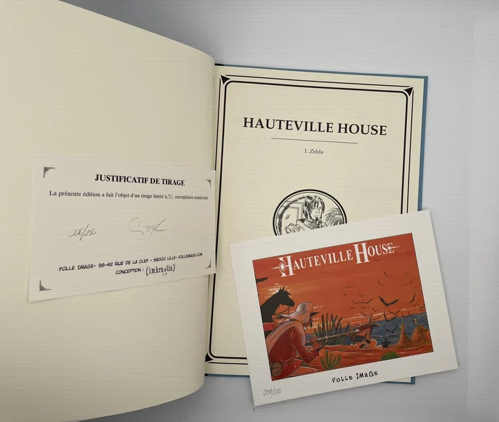 Hauteville House - Tomes 1 et 2 (Zelda, Destination Tulum) - Fred Duval / Thierry Gioux / Christophe Quet / Carole Beau - Delcourt - BD franco-belge - Très bon état