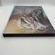 Korrigans - EO - T 3 et 4 (Le peuple de Dana, Le seigneur du chaos) - Thomas Mosdi / Emmanuel Civiello - Delcourt - BD franco-belge - Très bon état — Photo 6