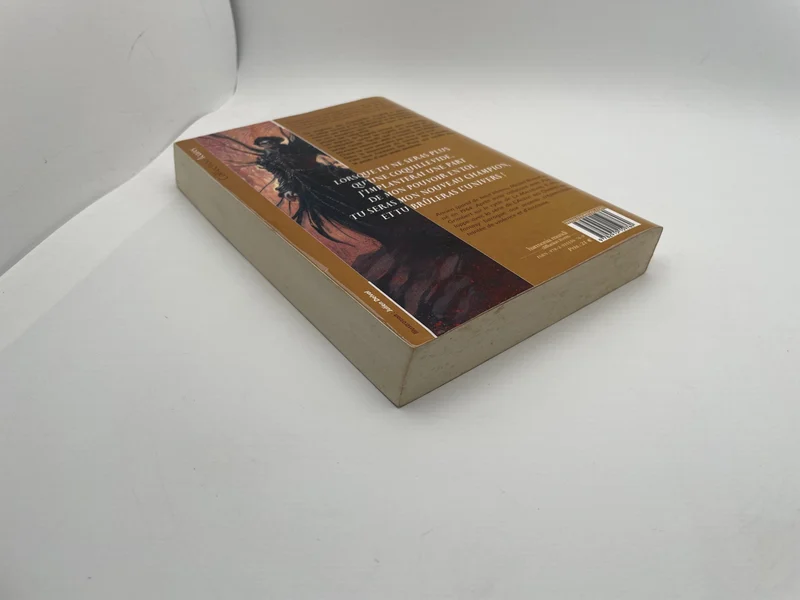 L'Agent des ombres - Tome 4 - Hors-destin - Michel Robert - Mnémos - Livres - Très bon état