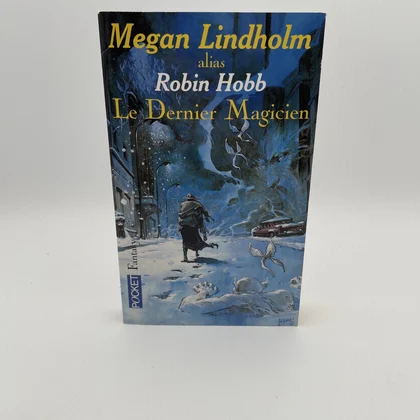 Le Dernier Magicien - Megan Lindholm - Pocket - Livres - Très bon état