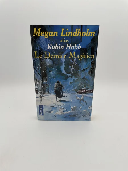 Le Dernier Magicien - Megan Lindholm - Pocket - Livres - Très bon état