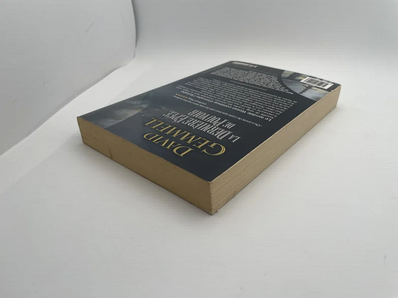 Les Pierres de Pouvoir - Tome 2 - La Dernière Épée de pouvoir - David Gemmell - Bragelonne - Livres - Très bon état