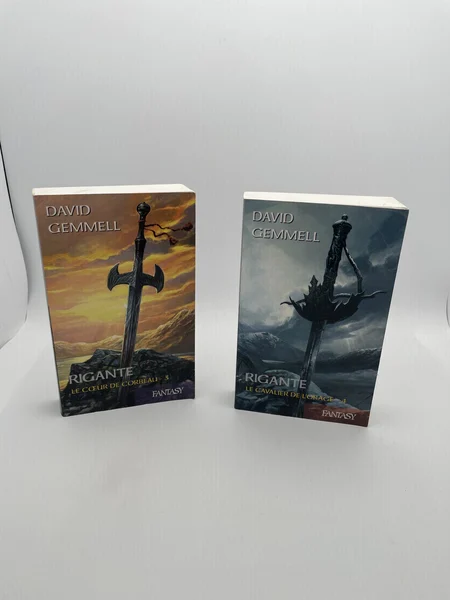 Rigante - Tomes 3 et 4 (Le Cœur de Corbeau / Le Cavalier de l'Orage) - David Gemmell / Alain Névant - France Loisirs - Livres - Très bon état