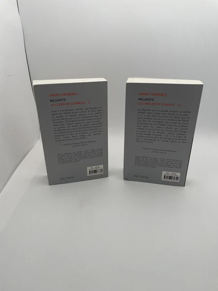 Rigante - Tomes 3 et 4 (Le Cœur de Corbeau / Le Cavalier de l'Orage) - David Gemmell / Alain Névant - France Loisirs - Livres - Très bon état