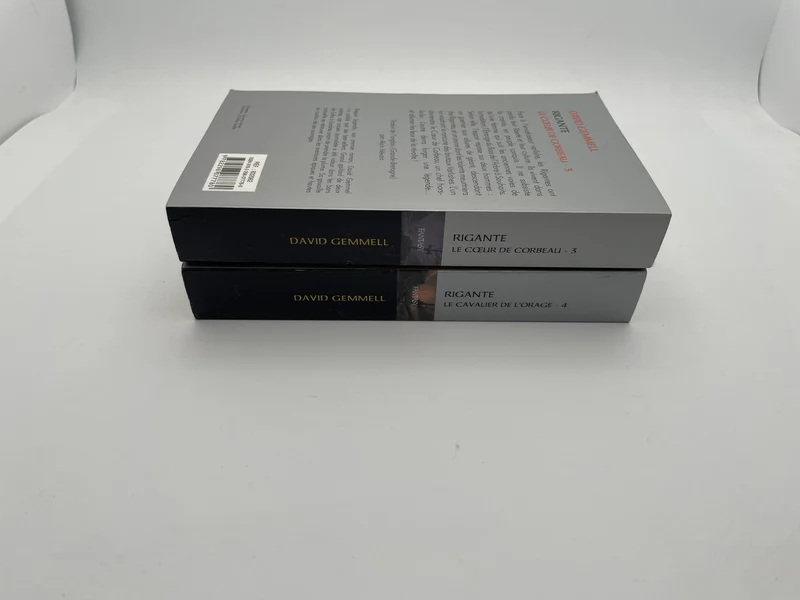 Rigante - Tomes 3 et 4 (Le Cœur de Corbeau / Le Cavalier de l'Orage) - David Gemmell / Alain Névant - France Loisirs - Livres - Très bon état
