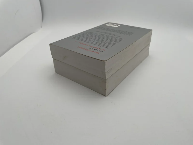 Rigante - Tomes 3 et 4 (Le Cœur de Corbeau / Le Cavalier de l'Orage) - David Gemmell / Alain Névant - France Loisirs - Livres - Très bon état