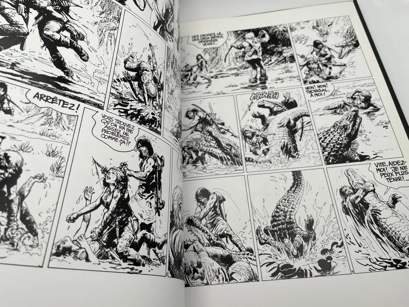Thorgal (Pegasus) - Tome 11 - Les yeux de Tanatloc - Jean Van Hamme / Grzegorz Rosiński - Le Lombard - BD franco-belge - État correct