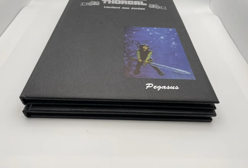 Thorgal (Pegasus) - Tomes 7 et 14 (L'Enfant des étoiles, Aaricia) - Jean Van Hamme / Grzegorz Rosiński - Pegasus - BD franco-belge - Très bon état