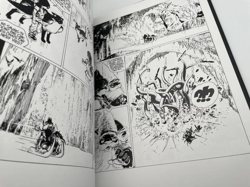 Thorgal (Pegasus) - Tomes 7 et 14 (L'Enfant des étoiles, Aaricia) - Jean Van Hamme / Grzegorz Rosiński - Pegasus - BD franco-belge - Très bon état