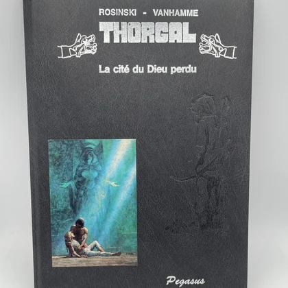Thorgal - Tome 12 - La cité du Dieu perdu - Jean Van Hamme / Grzegorz Rosiński - Le Lombard - BD franco-belge - État correct