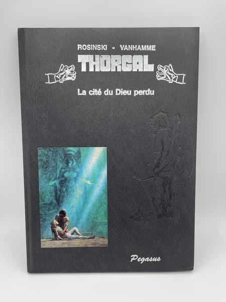 Thorgal - Tome 12 - La cité du Dieu perdu - Jean Van Hamme / Grzegorz Rosiński - Le Lombard - BD franco-belge - État correct