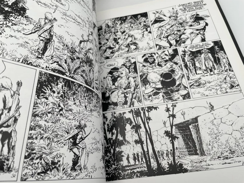 Thorgal - Tome 12 - La cité du Dieu perdu - Jean Van Hamme / Grzegorz Rosiński - Le Lombard - BD franco-belge - État correct