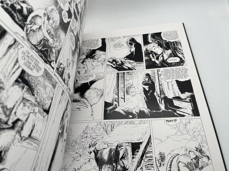 Thorgal - Tome 8 - Alinoë - Jean Van Hamme / Grzegorz Rosinski - Le Lombard - BD franco-belge - Très bon état