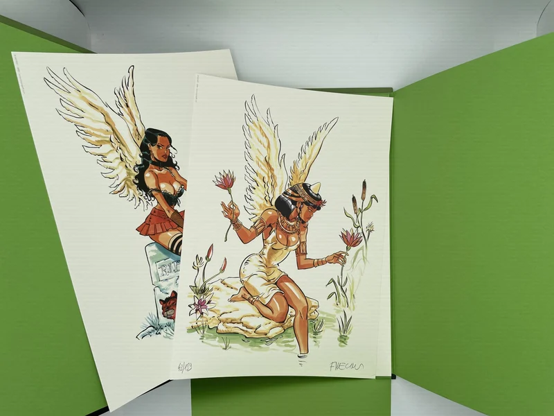 Ailes Belles - Félix Meynet - Bruno Graff avec dessin dédicacé original - BD franco-belge - Très bon état