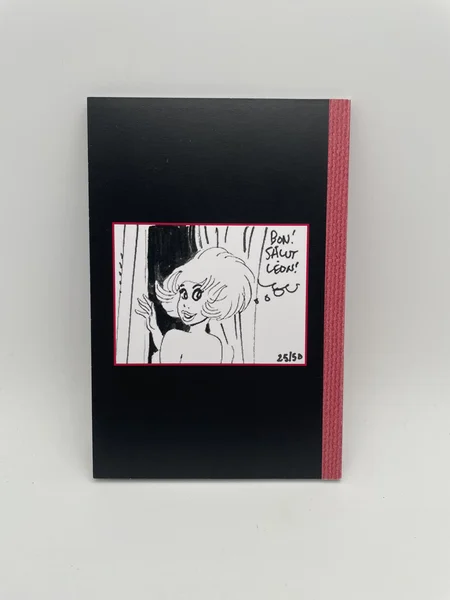 Ah ! Léon est là ? - François Walthéry - BD franco-belge - Très bon état