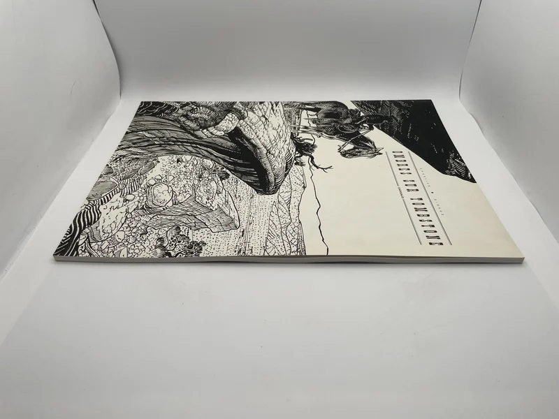 Blueberry - T 25 - Ombres sur Tombstone - Jean Giraud / Jean-Michel Charlier - Dargaud - BD franco-belge - Très bon état