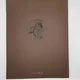 Blueberry - Tome 27 - OK Corral -  Jean Giraud - Dargaud - BD franco-belge - Très bon état — Photo 7
