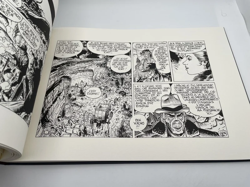 Blueberry - TT - T 25 - Ombres sur Tombstone - Jean Giraud - Dargaud - BD franco-belge - Très bon état
