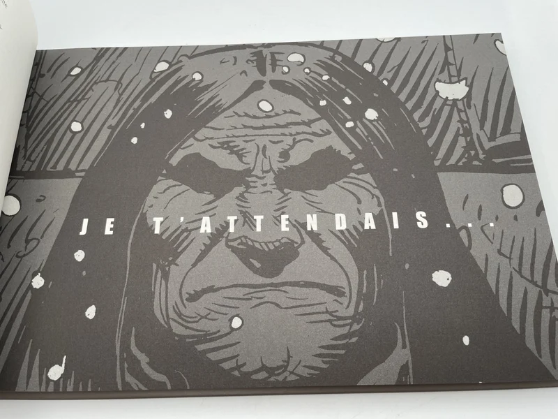 Blueberry - TT - T 28 - Dust - Jean Giraud - Stardom - Dargaud - BD franco-belge - Très bon état