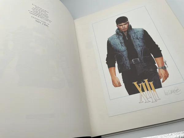 XIII raconte l'histoire d'un homme sans nom, sans passé, sans souvenir, dont le seul indice sur son identité est un chiffre tatoué sur lui : XIII. Traqué par des tueurs et surveillé par de hautes personnalités, le héros avance d'album en album dans la